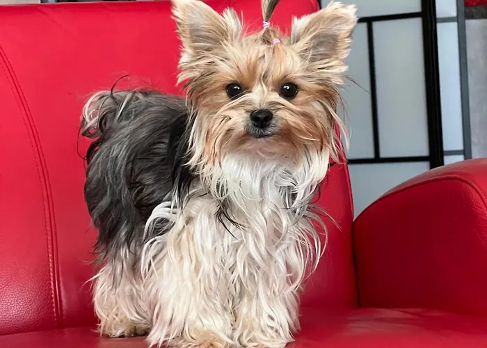 Rodzinne Przy Plazy Apartment