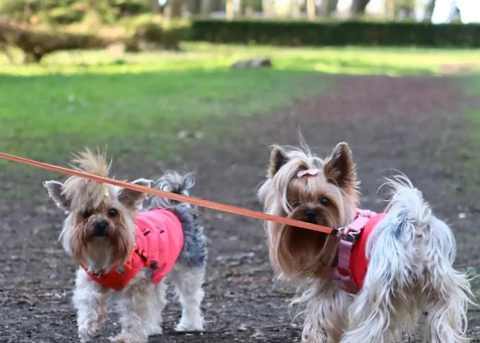 Apartment Rodzinne Przy Plazy Kolberg