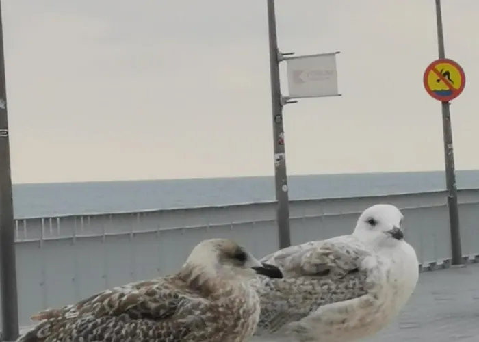 Apartment Rodzinne Przy Plazy