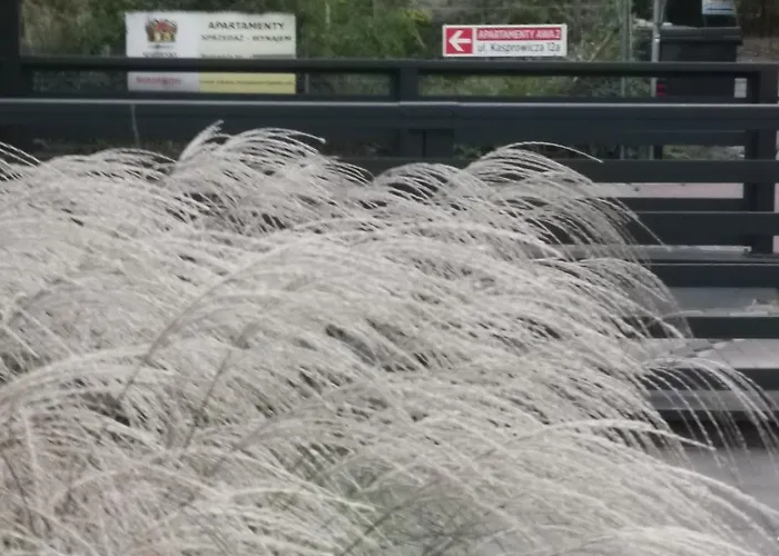 Apartment Rodzinne Przy Plazy *