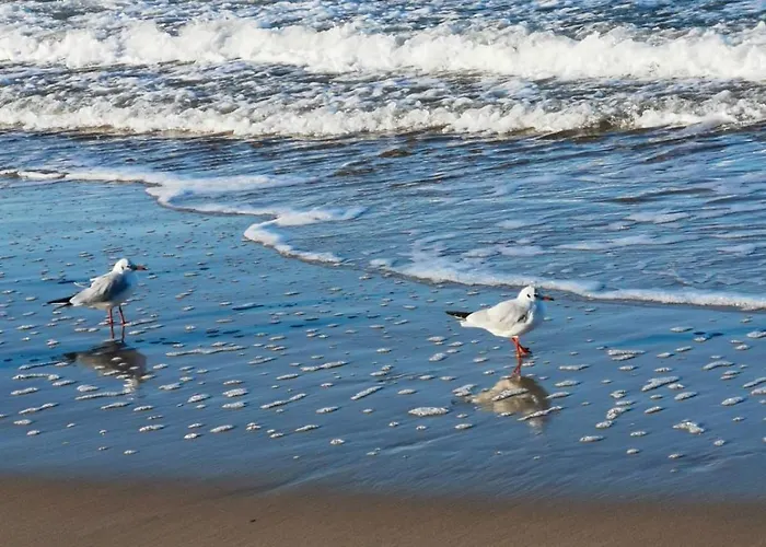 Rodzinne Przy Plazy * Kolberg