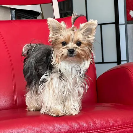 Rodzinne Przy Plazy Apartamento