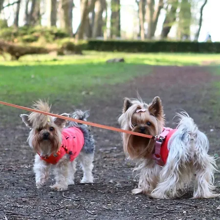 Apartman Rodzinne Przy Plazy Kołobrzeg