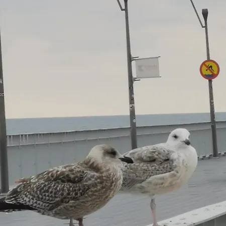 Apartamento Rodzinne Przy Plazy