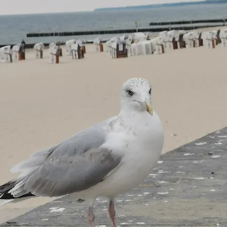 Rodzinne Przy Plazy Kolobřeh