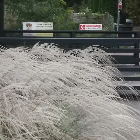 Apartamento Rodzinne Przy Plazy *