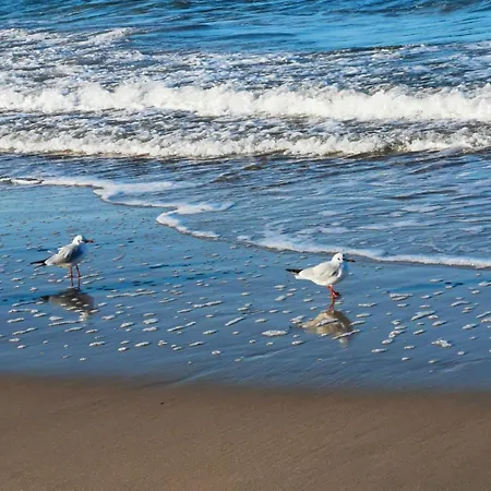 Rodzinne Przy Plazy * Kolobřeh